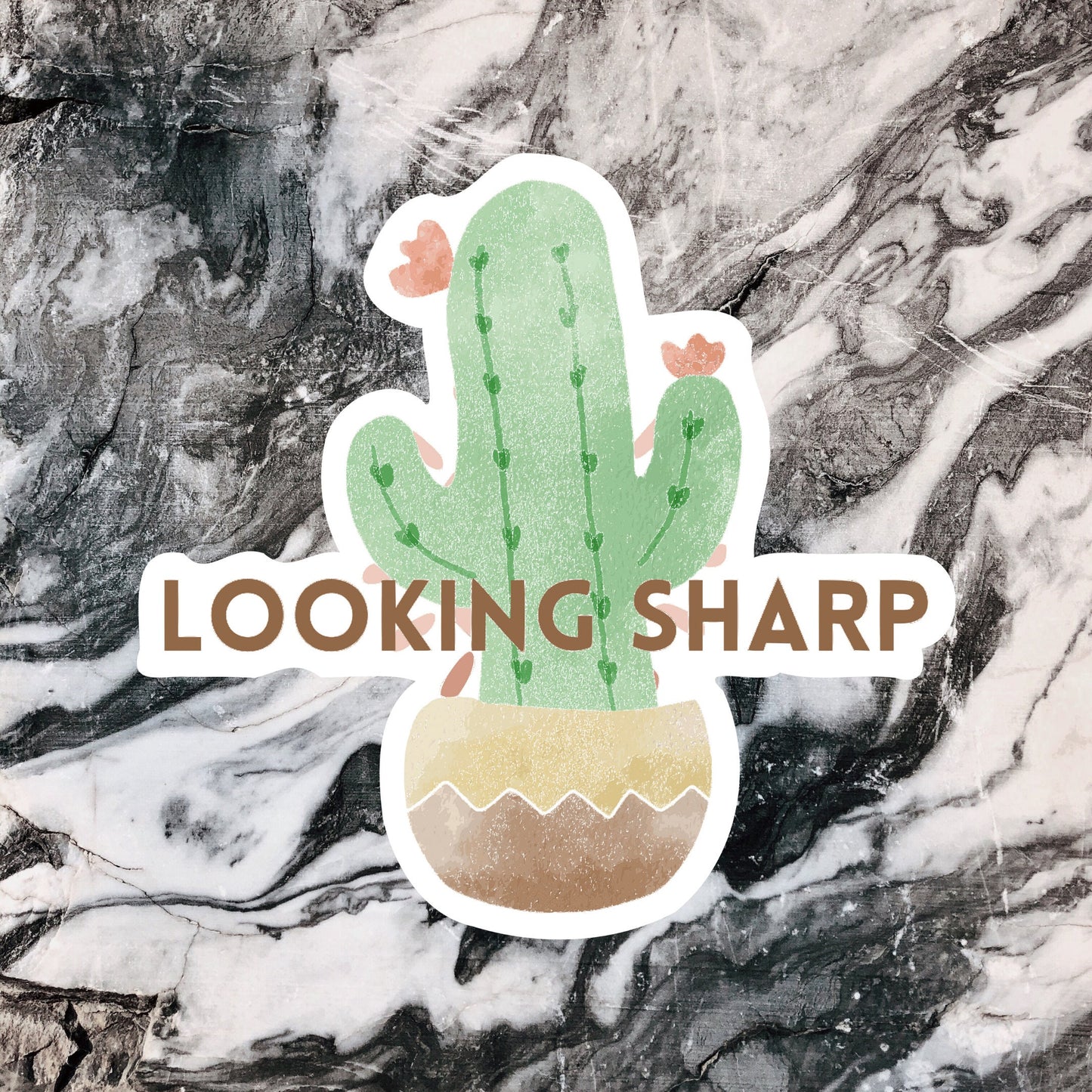 Looking Sharp Cactus Sticker | Cactus Sticker | Looking Sharp Sticker | Vinyl Sticker