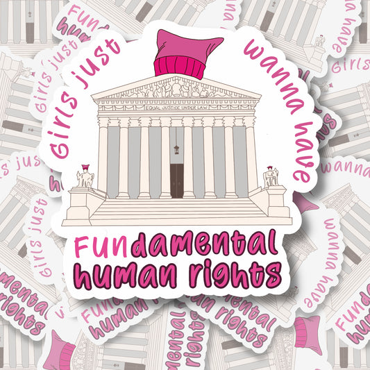 Women Want Fundamental Human Rights Sticker |  Pussy Hat Sticker | Supreme Court Sticker | Feminist Sticker