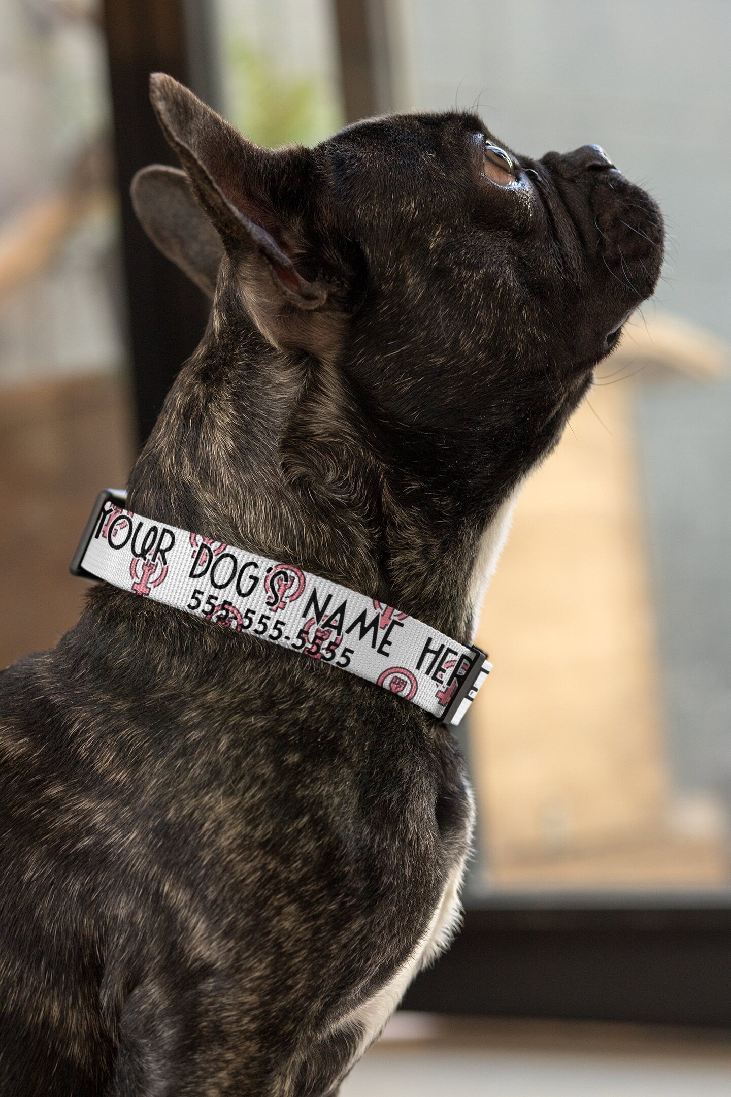 Personalized Dog Collar | Custom Feminist Dog Collar | Personalized Cat Collar | Custom Cat Collar