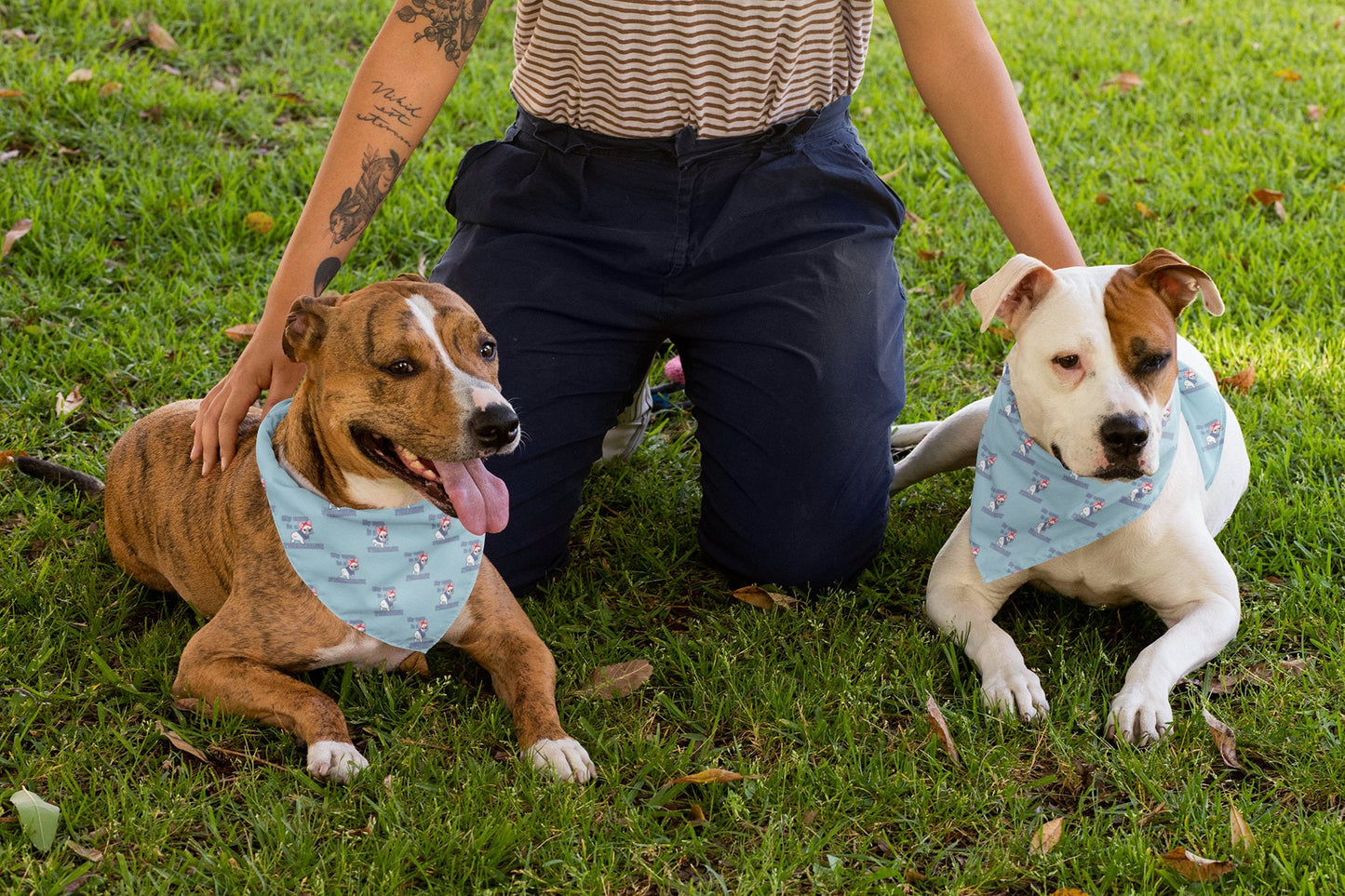 Feminist Pet Bandanas | Dog Bandana | My Mom Is A Feminist Frenchie Bandana