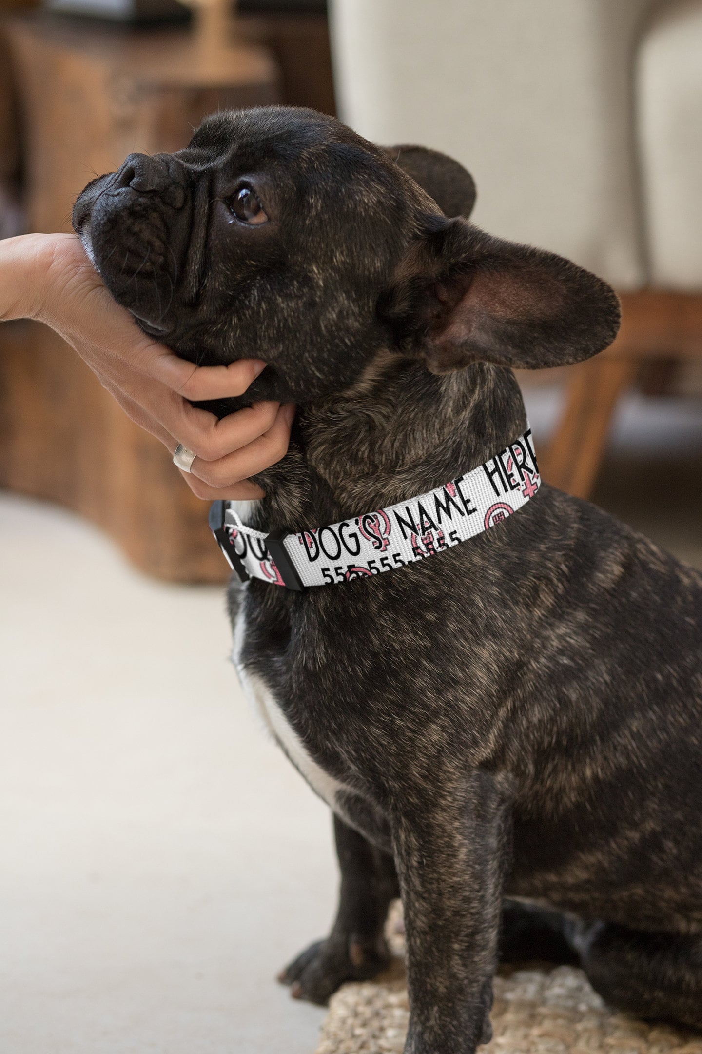 Personalized Dog Collar | Custom Feminist Dog Collar | Personalized Cat Collar | Custom Cat Collar