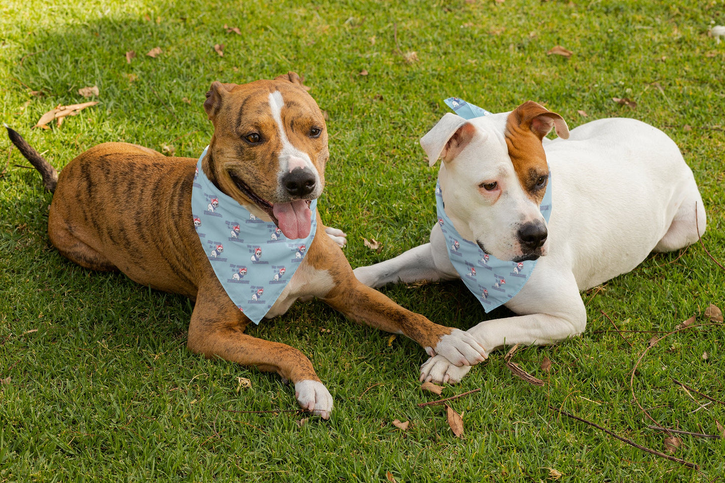 Feminist Pet Bandanas | Dog Bandana | My Mom Is A Feminist Frenchie Bandana